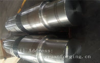 뜨거운 위조된 둥근 막대기 거친 기계로 가공된 JIS DIN EN ASTM AISI 합금 강철 및 스테인리스