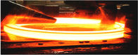 뜨거운 위조는 강철 제품 물자 1.4923, X22CrMoV12.1, 1.4835, 1.6981, ASTM F22, LF6를 위조했습니다